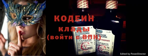 ПСИЛОЦИБИНОВЫЕ ГРИБЫ Новозыбков