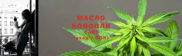 ПСИЛОЦИБИНОВЫЕ ГРИБЫ Новозыбков