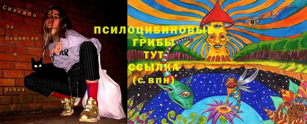 спиды Новодвинск
