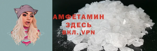ПСИЛОЦИБИНОВЫЕ ГРИБЫ Новозыбков