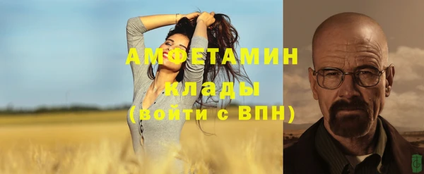 спиды Новодвинск