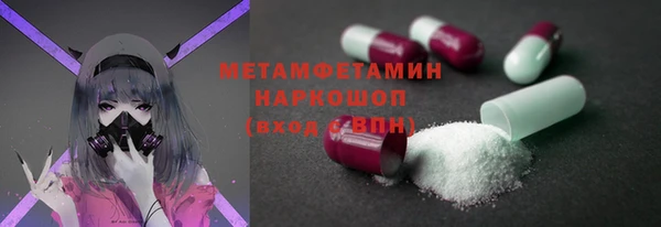 ПСИЛОЦИБИНОВЫЕ ГРИБЫ Новозыбков