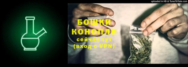 амф Новокубанск