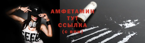 спиды Новодвинск