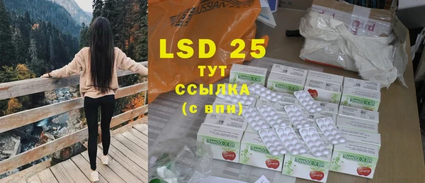 ПСИЛОЦИБИНОВЫЕ ГРИБЫ Новозыбков