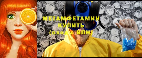 ПСИЛОЦИБИНОВЫЕ ГРИБЫ Новозыбков