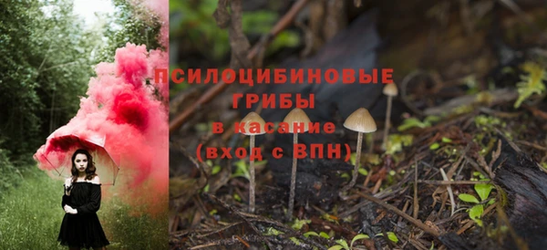 амф Новокубанск