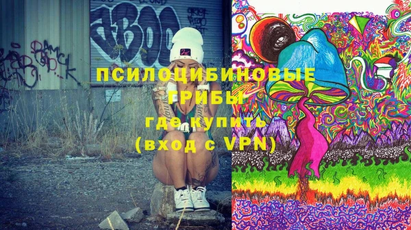 бошки Нефтегорск