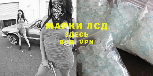 ПСИЛОЦИБИНОВЫЕ ГРИБЫ Новозыбков