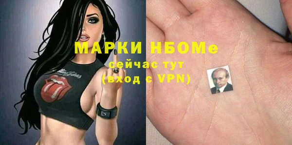 ПСИЛОЦИБИНОВЫЕ ГРИБЫ Новозыбков