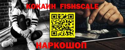 индика Гатчина