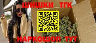 индика Гатчина