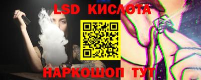 индика Гатчина