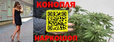 МДПВ Гай
