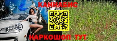 МДПВ Гай