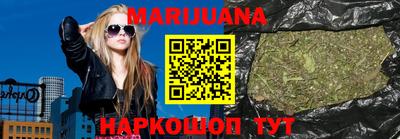 индика Гатчина