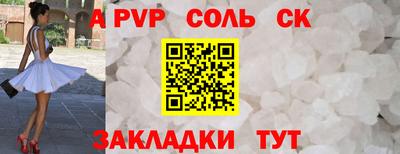 индика Гатчина