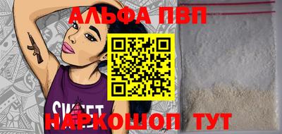 индика Гатчина