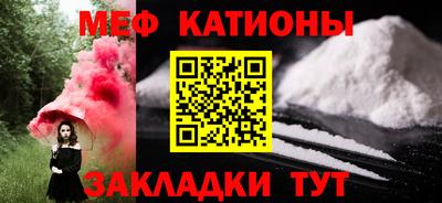 индика Гатчина