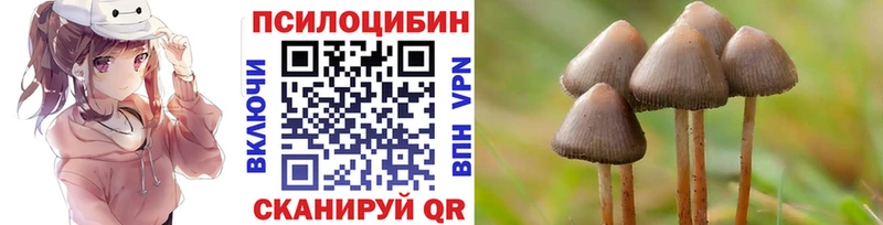Псилоцибиновые грибы Psilocybine cubensis  даркнет состав  Лысьва  blacksprut как войти 