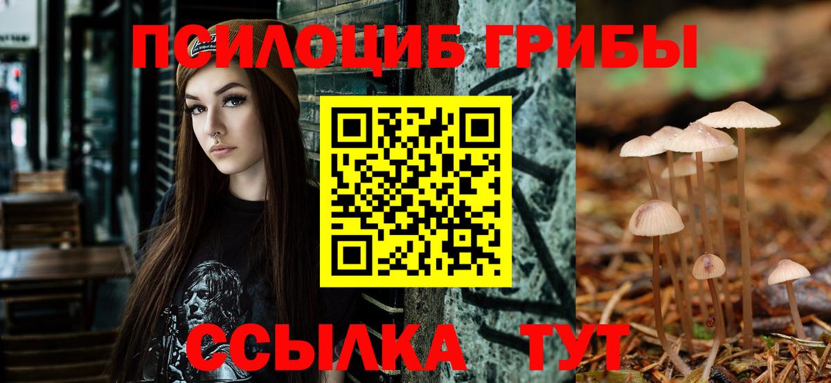 Псилоцибиновые грибы MAGIC MUSHROOMS Лысьва